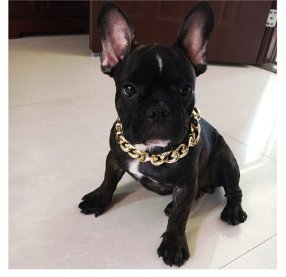 Golden Chain Dog Collar